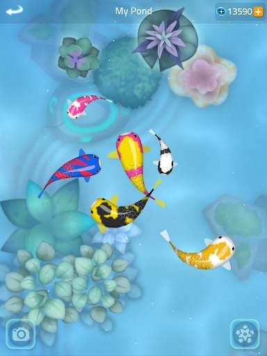 Zen Koi 2 screenshot 13