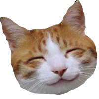 Free Funny Videos on 9Apps