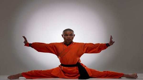 Learn Kung Fu screenshot 8