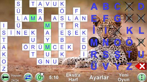 Kod Sözcüğü Bulmaca screenshot 8