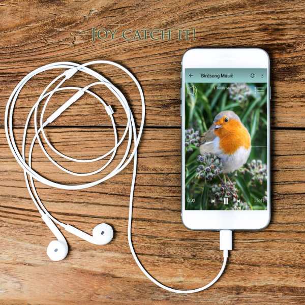 Relaxing nature music screenshot 5
