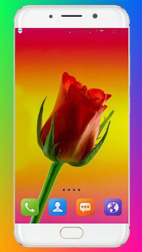 Red Rose Wallpaper screenshot 10