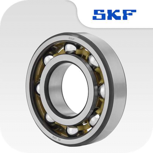 SKF Bearing Calculator v1.9.1