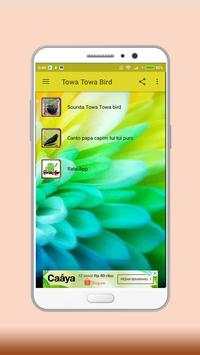 Towa Towa Bird screenshot 2