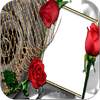 Photo Frames Lovely GIF 31.6