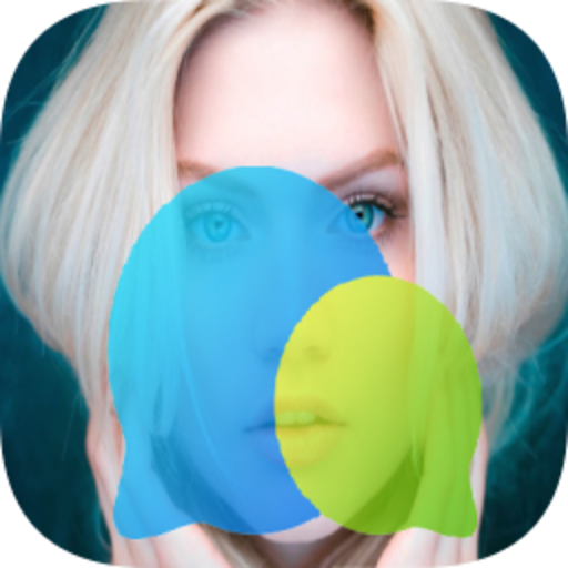 Alina WA Chatbot icon