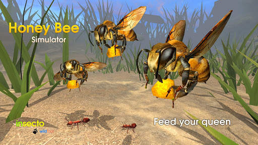 Honey Bee Simulator screenshot 1