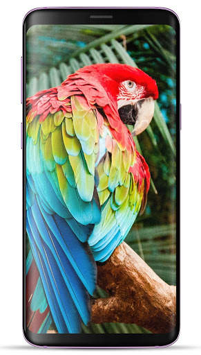 Colorful Wallpaper HD screenshot 5