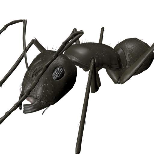 3D Ant Explorer Demo 2.10.1