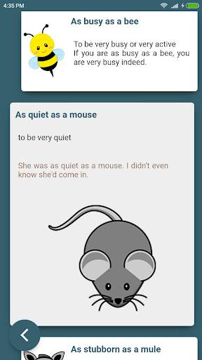 English Idioms In Use скриншот 6