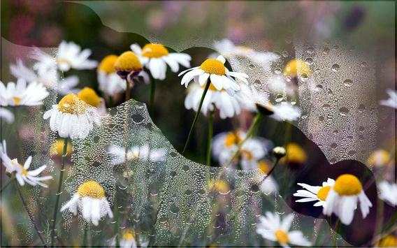 Flowers Wild HD live wallpaper screenshot 4