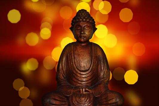 Buddha Wallpapers screenshot 8