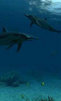 Dolphins live wallpaper screenshot 3