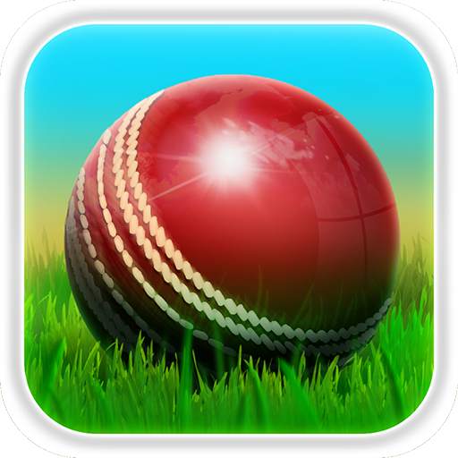 Cricket 3D 1.8.3