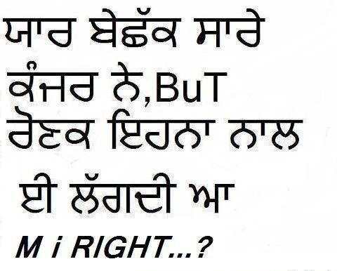 Punjabi Funny Jokes screenshot 4