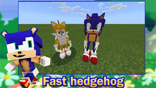 Fast Blue Hedgehog mod screenshot 2