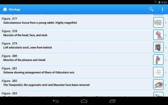 Gray's Anatomy Lite screenshot 4