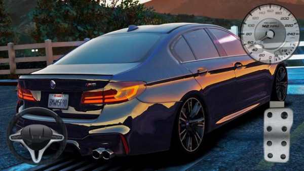 Driving BMW M5 - Competition Rides screenshot 2