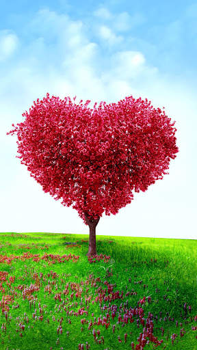 Tree Wallpaper screenshot 2