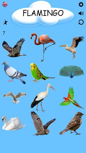 Birds - Learning Birds स्क्रीनशॉट 4