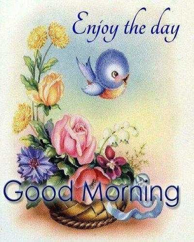 Good Morning Wishes 4 تصوير الشاشة