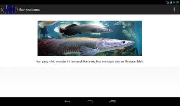 IKAN HIAS screenshot 14