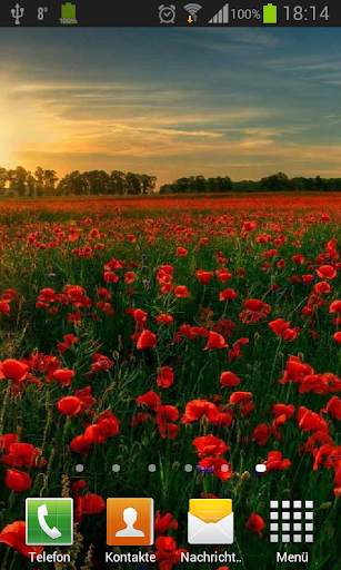 Poppies live wallpaper screenshot 4