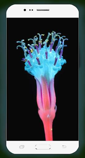 Neon Flower Wallpaper screenshot 3