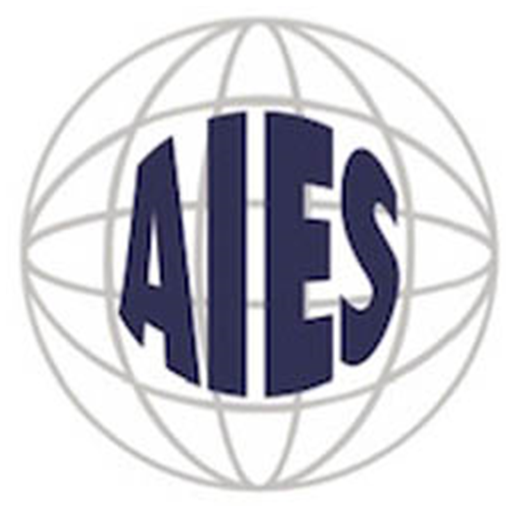 AIES Computer icon