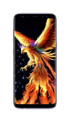 Phoenix Wallpapers HD screenshot 3