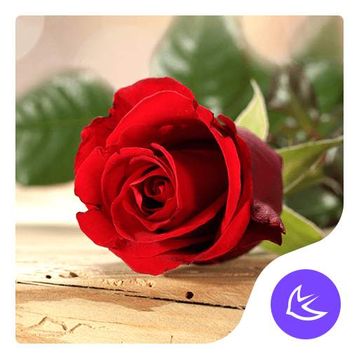 Red rose love - APUS Launcher theme 568.0.1001
