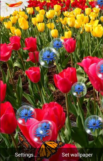Spring Live Wallpaper screenshot 1