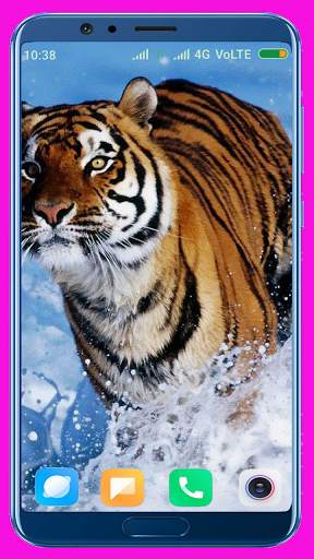 Tiger Wallpaper Best 4K screenshot 13