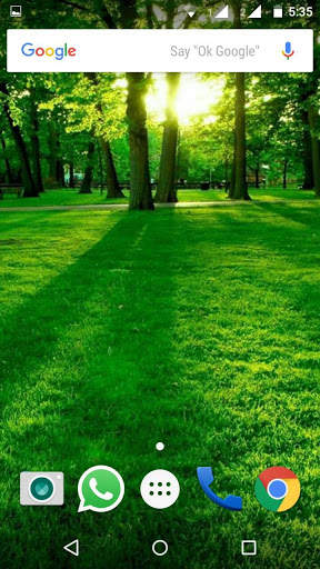 Green HD Wallpaper screenshot 4