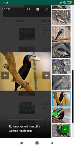 ZOOINSTITUTES 5 تصوير الشاشة