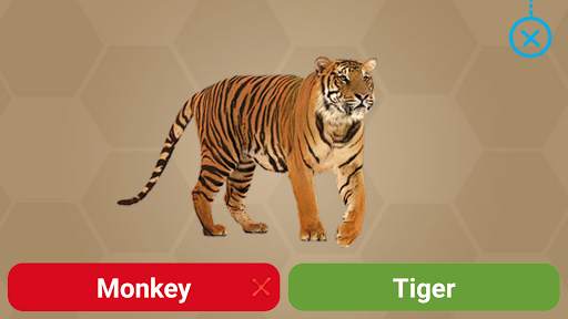 Animals for Kids - Flashcards, Puzzles & Sounds screenshot 6