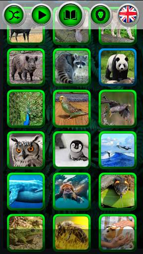 Animal sounds screenshot 3