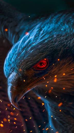 Eagle Wallpaper HD screenshot 6