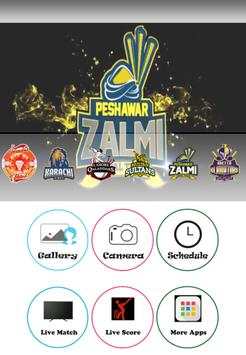 Peshawar Zalmi Best Profile and Dp Maker screenshot 1