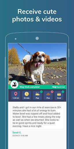 Wag! - 5-Star Dog Walking, Sitters & Pet Care screenshot 6