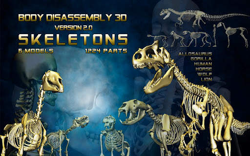 Body Disassembly 3D screenshot 1
