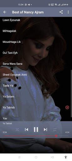 Best of Nancy Ajram Arabian Song screenshot 3