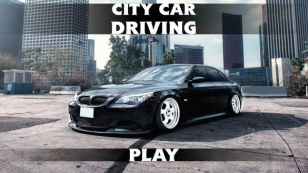 City Car Driving screenshot 1