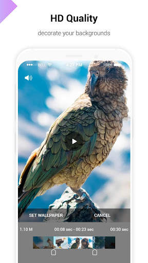 HD Animal Video Wallpaper screenshot 6