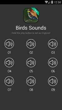 Birds (animal) Sound and Ringtones screenshot 1