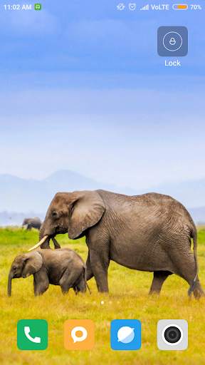 Elephant Wallpaper screenshot 5
