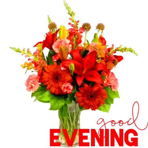 Good night stickers for Signal Messenger & WhatsAp screenshot 6