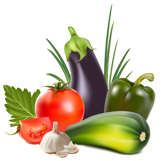 Organic Vegetables Farming icon