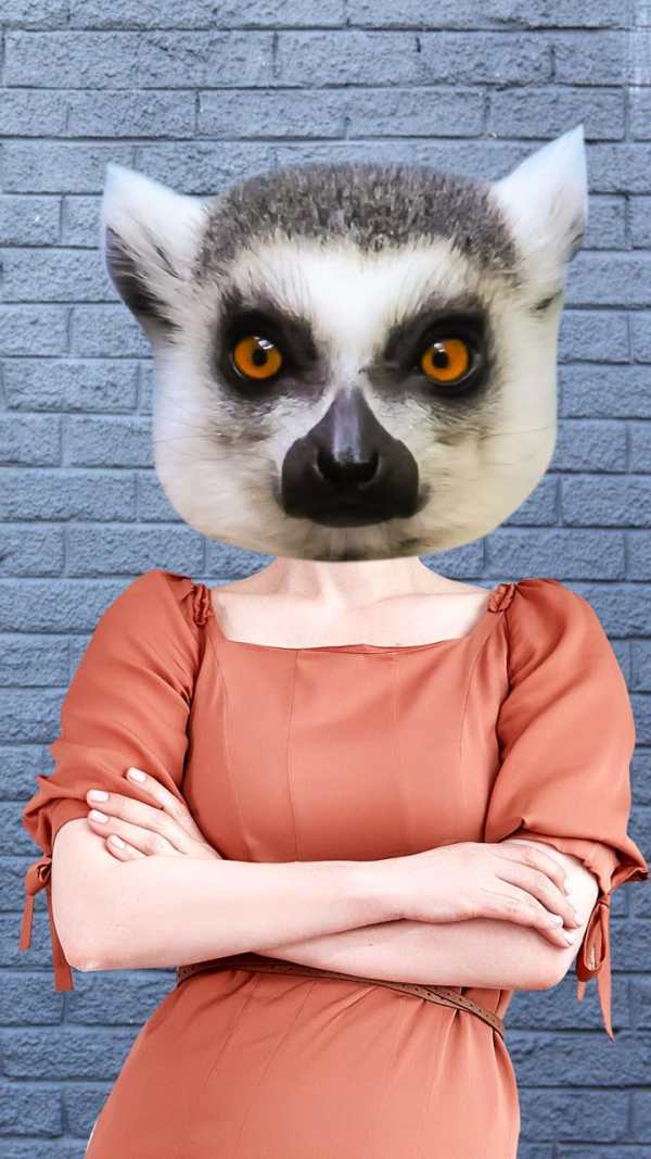 Animal Face Photo Changer 8 تصوير الشاشة