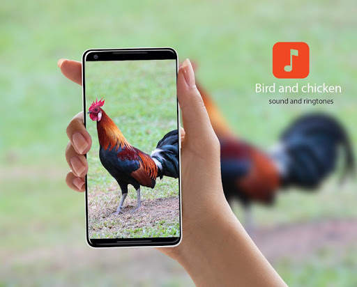 Bird and animal calls स्क्रीनशॉट 1